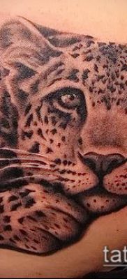 tatuaż lamparta śnieżnego # 308 to fajna wersja wzoru, który z powodzeniem można wykorzystać do przeróbki i aplikacji jako tatuaż pantery śnieżnej na plecach