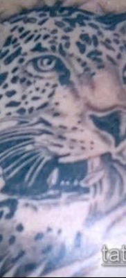 tatuaż lamparta śnieżnego # 308 to godna wersja wzoru, który można łatwo wykorzystać do rewizji i aplikacji jako tatuaż lamparta śnieżnego na plecach