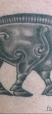 zdjęcie tatuażu dzika z dnia 02.12.2018 №066 - tatuaż dzika -