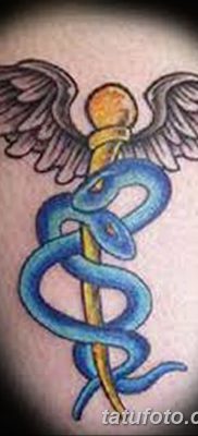 fotó a Caduceus tetoválásról, 2017.10.21. №136 - Caduceus tetoválás -