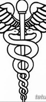 fotó egy Caduceus tetoválásról, kelt 2017.10.21 -én №011 - Caduceus tetoválás -