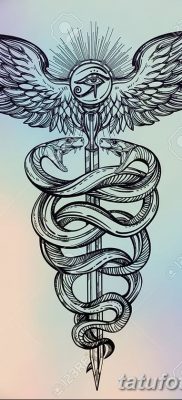 fotó a Caduceus tetoválásról, kelt 2017.10.21. №024 - Caduceus tetoválás -