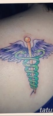fotó a Caduceus tetoválásról, 2017.10.21., №026 - Caduceus tetoválás -