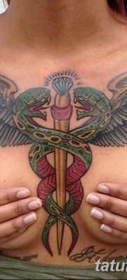 fotó a Caduceus tetoválásról, 2017.10.21. №037 - Caduceus tetoválás -