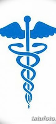 fotó a caduceus tetoválásról, kelt 2017.10.21 -én №055 - caduceus tetoválás -