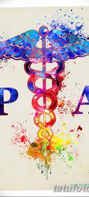 fotó egy caduceus tetoválásról, kelt 2017.10.21 -én №057 - caduceus tetoválás -