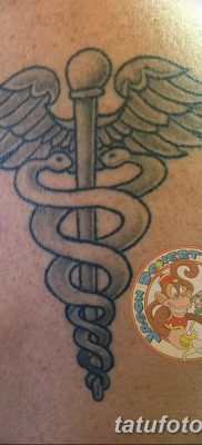 fotó a Caduceus tetoválásról, 2017.10.21., №060 - Caduceus tetoválás -