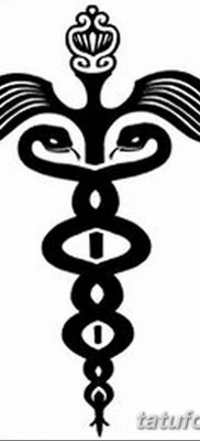 fotó a Caduceus tetoválásról, kelt 2017.10.21 -én №076 - Caduceus tetoválás -
