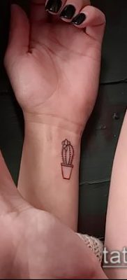 Fotó egy kaktusz tetoválásról - példa egy rajzra - 27052017 - példa - 001 Tetováló kaktusz