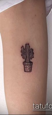 Fotó egy kaktusz tetoválásról - példa egy rajzra - 27052017 - példa - 011 Tetováló kaktusz