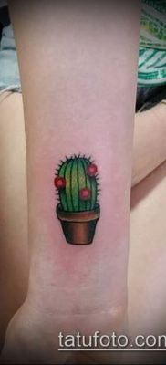 Fotó egy kaktusz tetoválásról - példa egy rajzra - 27052017 - példa - 015 Tetováló kaktusz