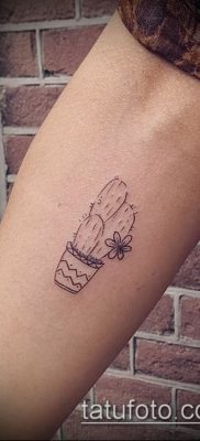 Fotó egy kaktusz tetoválásról - példa egy rajzra - 27052017 - példa - 017 Tetováló kaktusz