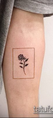 Fotó egy kaktusz tetoválásról - példa egy rajzra - 27052017 - példa - 042 Tetováló kaktusz