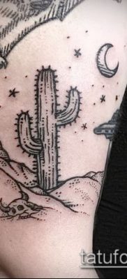 Fotó egy kaktusz tetoválásról - példa egy rajzra - 27052017 - példa - 088 tetováló kaktusz