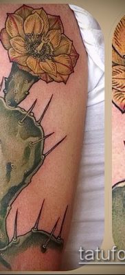 Fotó egy kaktusz tetoválásról - példa egy rajzra - 27052017 - példa - 089 tetováló kaktusz