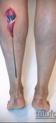 A calla liliom tetoválás # 417 a minta klassz változata, amely sikeresen használható a calla virág finomítására és tetoválásként történő alkalmazására