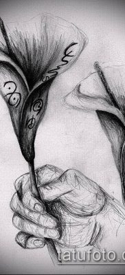 calla liliom tetoválás # 867 - a minta exkluzív változata, amely könnyen használható a calla virág megváltoztatásához és rajzolásához tetoválásként