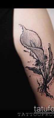 calla tattoo # 351 - a minta egyedi változata, amely jól használható az átalakításhoz és az alkalmazáshoz, mint Tattoo calla