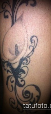 calla liliom tetoválás № 784 - a minta egyedi változata, amely könnyen használható felülvizsgálathoz és rajzoláshoz, mint egy calla liliom tetoválás a combon