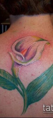 A calla liliom tetoválás # 588 a minta klassz változata, amely könnyen használható felülvizsgálathoz és rajzoláshoz, mint akvarell calla liliom tetoválás