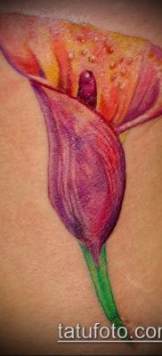 calla liliom tetoválás # 205 - a minta egyedi változata, amely könnyen használható feldolgozásra és akvarell calla tetoválásként a combra