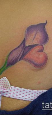 A calla liliom tetoválás # 801 a minta klassz változata, amely sikeresen használható az akvarell calla liliom tetováláshoz