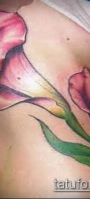 A calla liliom tetoválás # 228 a minta klassz változata, amely sikeresen használható revízióhoz és rajzoláshoz, mint calla liliom tetoválás akvarell a combon