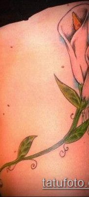 A calla tetoválás # 892 a minta méltó változata, amely könnyen használható akvarell kalla tetoválásként történő feldolgozásra és alkalmazásra