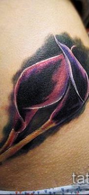 calla liliom tetoválás # 662