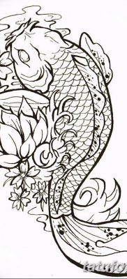 fotó egy ponty tetoválásról, kelte: 2017.10.28. №037 - ponty tetoválás -