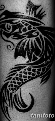 fotó a ponty tetoválásról, 2017.10.28. №058 - ponty tetoválás -