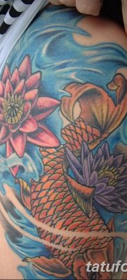 fotó ponty tetoválás kelt 2017.10.28. №008 - ponty tetoválás -