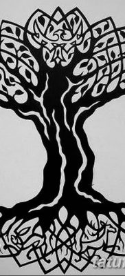 fotó kelta tetoválásról, 2017. december 19 -én, №073 - a kelta tetoválása -