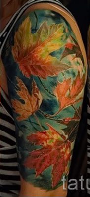 Egy érdekes rajz egy változata egy elkészült tetoválásban, egy juharral, közzétételre a juhar jelentésével a tetoválásban