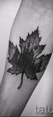 Az ötlet egy klassz rajz egy már alkalmazott juhar tetoválás egy cikk a történelem juhar a tetoválás