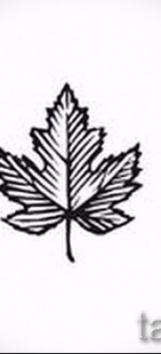 Példa egy szokatlan mintára egy már alkalmazott juhartetováláson a tetovált juhar értelmezéséről szóló cikkhez