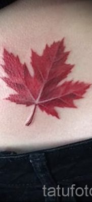 Példa egy eredeti rajzra egy elkészült juhar tetováláson, egy cikkben a tetovált juhar történetéről