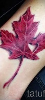 Példa egy érdekes rajzra egy már alkalmazott juhartetoválásban egy cikkhez, amely a juhar jelentését jelenti a testfestésben