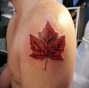 mit jelent a juharlevél tetoválás - a kész tetoválás változata a fotón