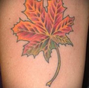 A juharlevél tetoválás jelentése 43432345