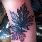 A juharlevél tetoválás jelentése 3442344