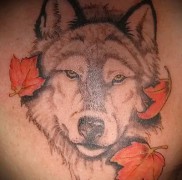 A juharlevél tetoválás jelentése 545345