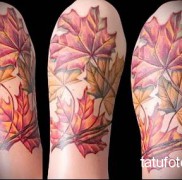 A juharlevél tetoválás jelentése 342344