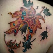 A juharlevél tetoválás jelentése 54234