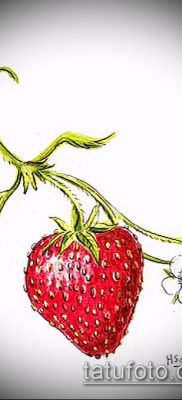 fotó eper tetoválásról (Eper tetoválás) (jelentése) - példa rajz - 061