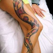 Betydningen af ​​kobra -tatoveringen 5464675678