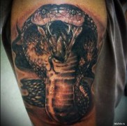 Betydningen af ​​kobra -tatoveringen 3425435647