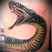 Betydningen af ​​kobra -tatoveringen 2343454567