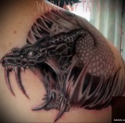 Betydningen af ​​kobra -tatoveringen 345467567