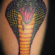 Betydningen af ​​kobra -tatoveringen 12342556